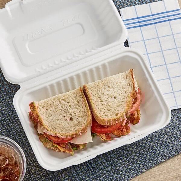 EcoChoice 9" x 6" x 3" Biodegradable Sugarcane Bagasse 1-Compartment Take-Out Container Case