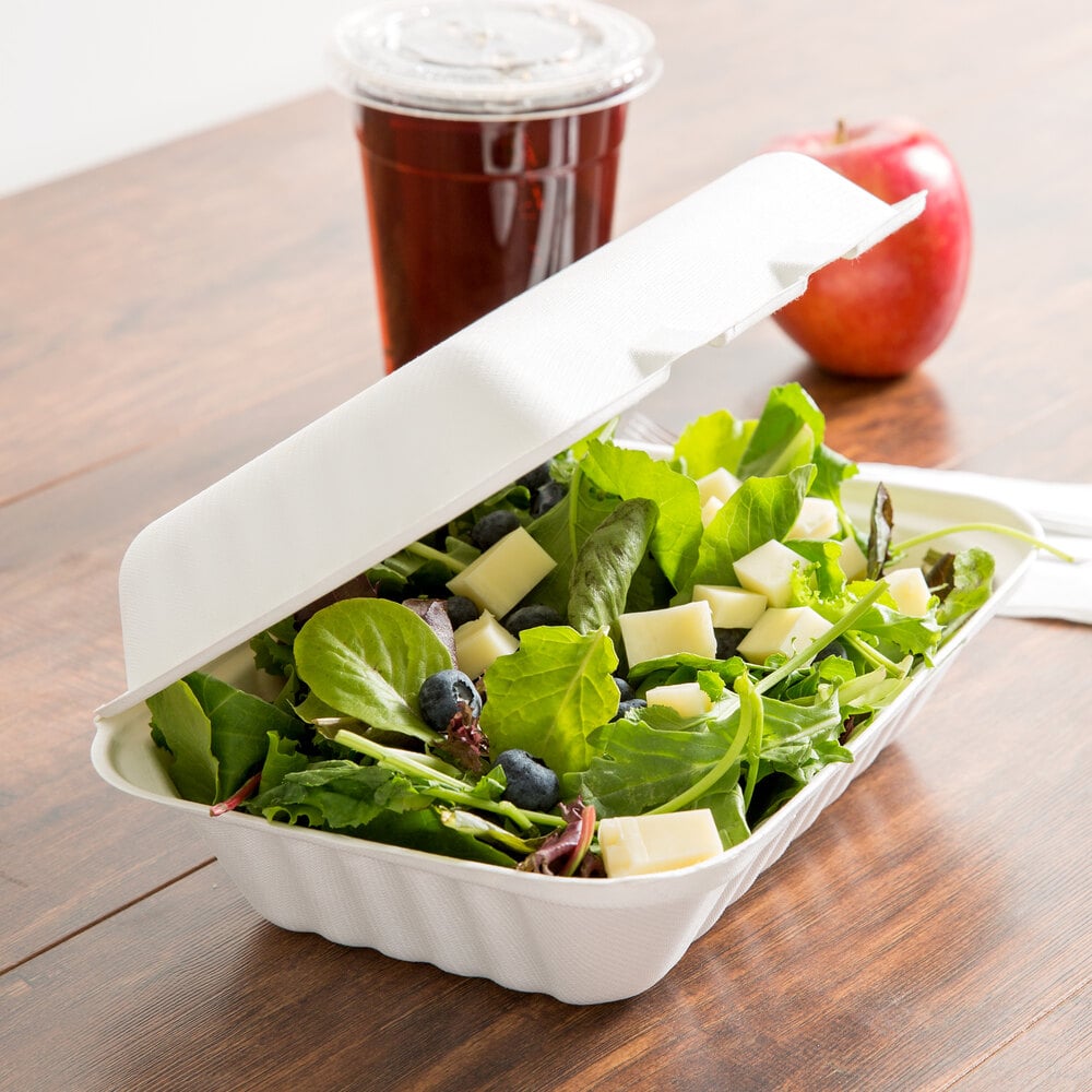 EcoChoice 9" x 6" x 3" Biodegradable Sugarcane Bagasse 1-Compartment Take-Out Container Case