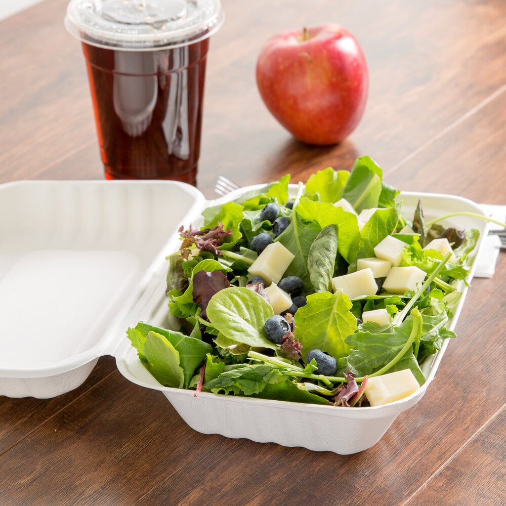EcoChoice 9" x 6" x 3" Biodegradable Sugarcane Bagasse 1-Compartment Take-Out Container Case