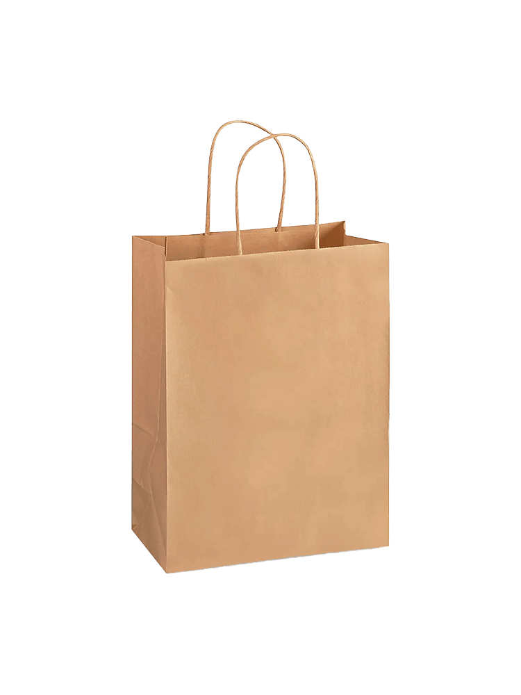 Eco-friendly kraft paper shopping bag with twisted handles, ideal for retail and gift packaging.